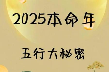 农历1975年出生的人命运揭秘：探索生肖与命理的奥秘