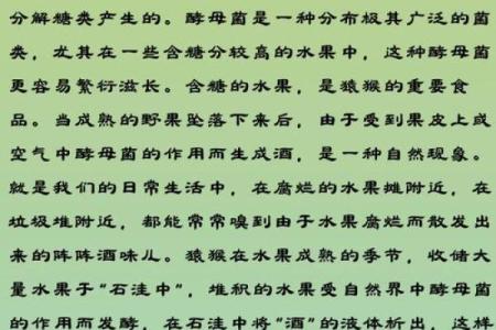 嗜酒如命：探寻酒迷的神秘体质与背后的奥秘