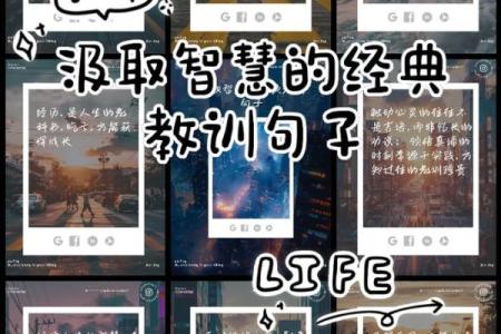 生于1949年的人命运解析：岁月的印记与智慧的积累