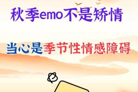 深秋时节：壬申年农历九月的命理解读与生活启示