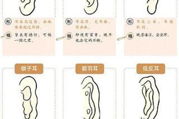 钗钏金命解析:如何利用命理提升人生运势? 钗钏金命解析:如何利用命理提升人生运势?