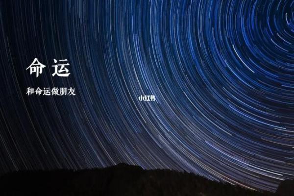 命运的走向：如何掌握自己的未来与幸福