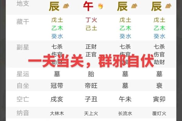 深入剖析：日主食神男命的魅力与特性