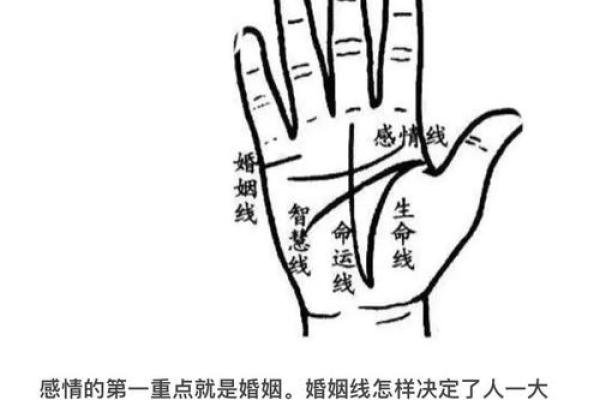 手相解读：掌中的秘密与命运的指引