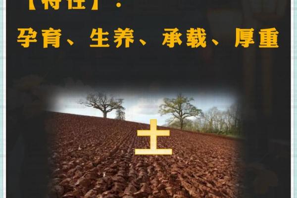 属火命五行解析:热情与能量的象征 属火命五行解析:热情与能量的象征