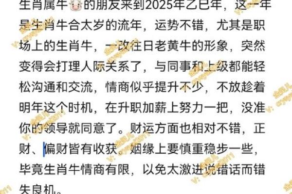 属牛女人的命理揭秘：个性、运势与人生智慧