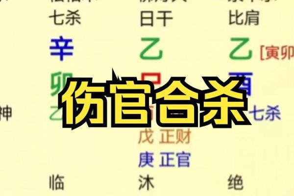 伤官在男命中的人格特征与发展潜力探究