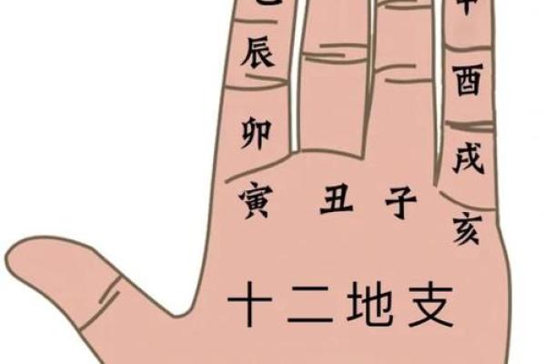 属龙：那些与龙同生的年份与命运解析