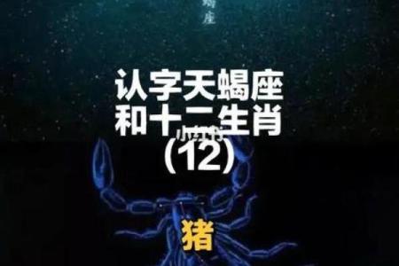 揭秘：属猪35岁命运解析，如何把握人生关键时刻！