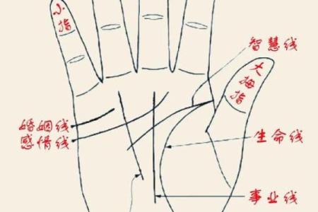手背胎记的命运解析：探寻你的命中注定