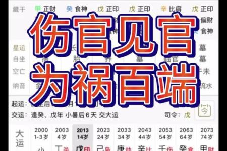 伤官在男命中的人格特征与发展潜力探究