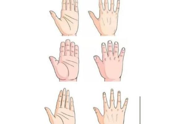 手指上的七个螺纹:揭示你的命格秘密! 手指上的七个螺纹:揭示你的命格秘密!