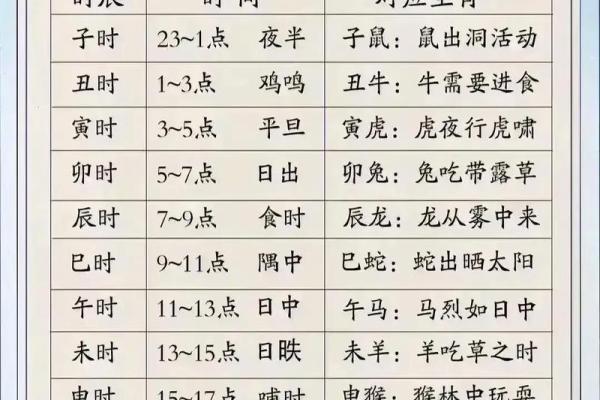 属狗的马烈如日中是什么命——解读命理与人生智慧