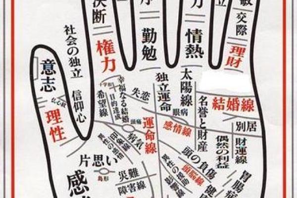 手相信命，命运真相大揭秘：掌握你的未来！