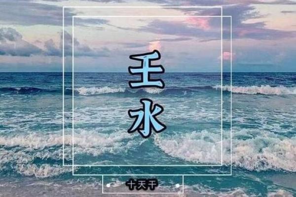 壬水命身旺走丙运的深刻解析与人生启示 壬水命身旺走丙运的深刻解析与人生启示