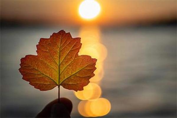 火命缺金者适合从事哪些行业?探秘事业成功之道! 火命缺金者适合从事哪些行业?探秘事业成功之道!