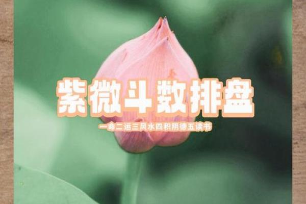 揭开命格的奥秘:下等命格对人生的影响与改变 揭开命格的奥秘:下等命格对人生的影响与改变