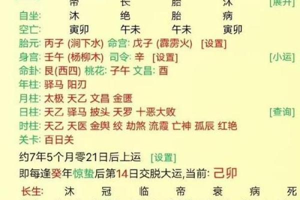 属龙亥时出生的命格解析：揭示你的命运与人生道路