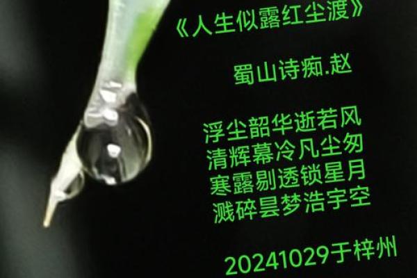 山头火：缘薄乐苦，恨别离的灵魂之歌