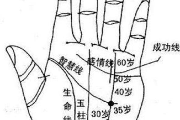 根据手心肉的形状,揭示你的命运与性格特点 根据手心肉的形状,揭示你的命运与性格特点