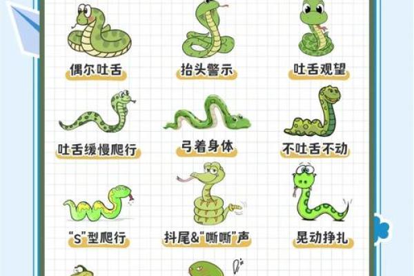 七七年正月蛇的命理解析与生活启示