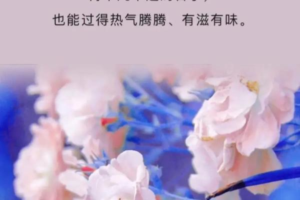 如果你有三条命,你会如何生活?探索人生的无限可能性 如果你有三条命,你会如何生活?探索人生的无限可能性