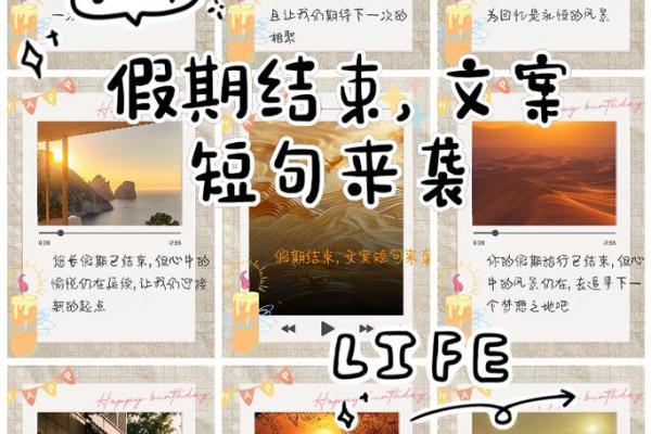 属兔人的下半辈子：幸福与成就的美好旅程