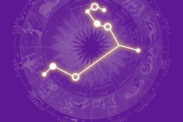 属虎金命佩戴什么，助您好运连连！