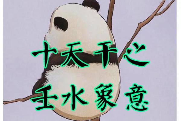 揭秘壬天干命理:探索水的智慧与人生旅程 揭秘壬天干命理:探索水的智慧与人生旅程