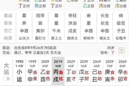 属龙亥时出生的命格解析：揭示你的命运与人生道路
