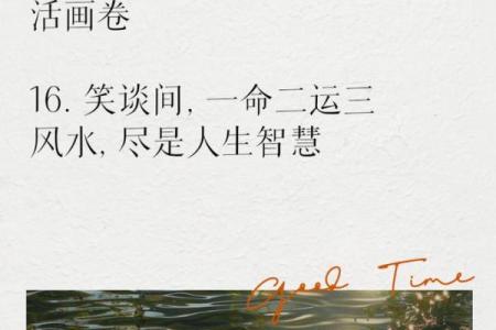 七赤命的运势与生活智慧：如何把握人生的好运与挑战