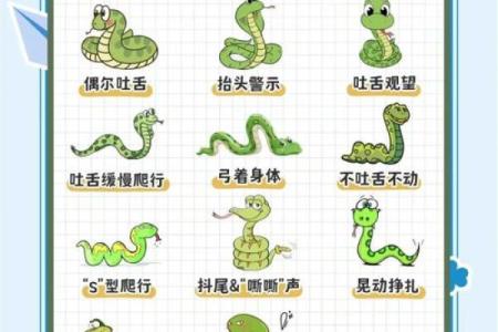 七七年正月蛇的命理解析与生活启示