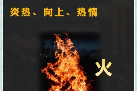 深入探讨已亥月的五行属性与命理解析，让你更好地认识自我！