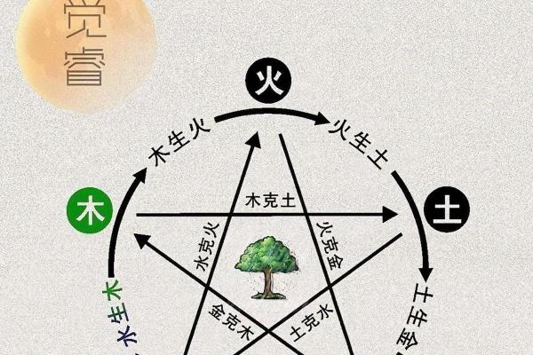 石榴木命与水命的完美结合:探秘五行之美 石榴木命与水命的完美结合:探秘五行之美