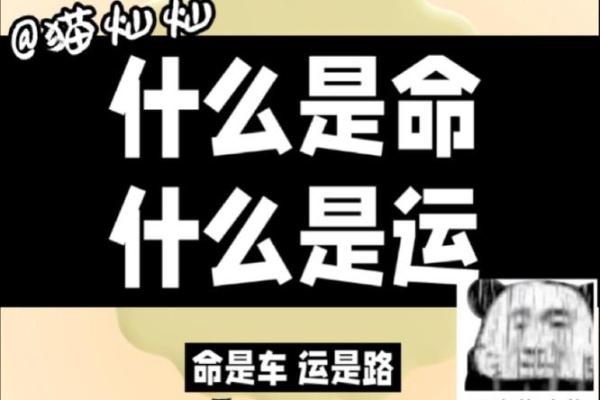 什么是贵命，什么是吉命：揭示人生的奥秘与选择
