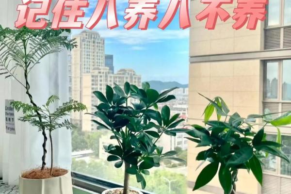 属牛木命客厅理想植物摆放与装修搭配技巧 属牛木命客厅理想植物摆放与装修搭配技巧