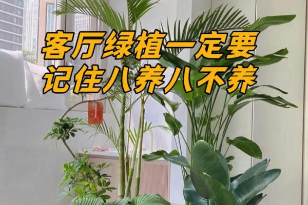 属牛木命客厅理想植物摆放与装修搭配技巧 属牛木命客厅理想植物摆放与装修搭配技巧