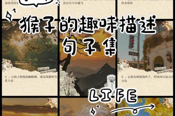 属猴人的命是什么命?探秘聪明灵动的猴子命运之旅 属猴人的命是什么命?探秘聪明灵动的猴子命运之旅