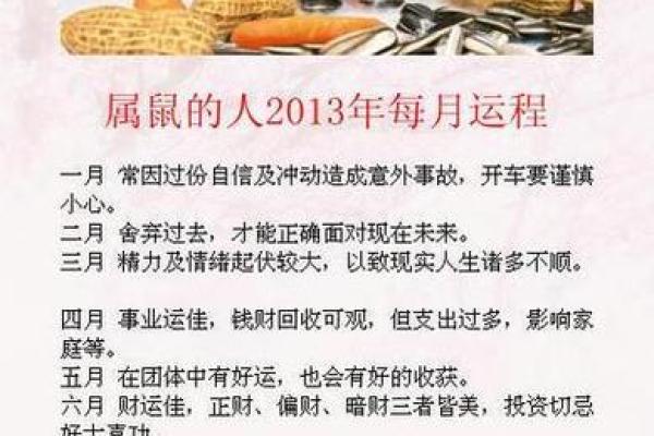 属鼠的人命格解析：探索不同命格的独特魅力与潜力