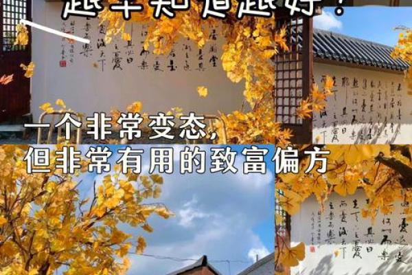 石榴木命如何选择生意才能致富的秘诀 石榴木命如何选择生意才能致富的秘诀