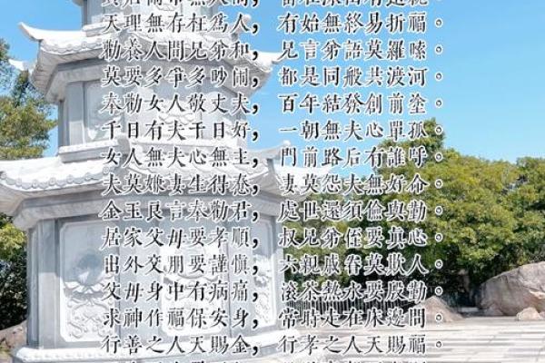 揭开簸箕命之谜:生活中的哲学与智慧 揭开簸箕命之谜:生活中的哲学与智慧