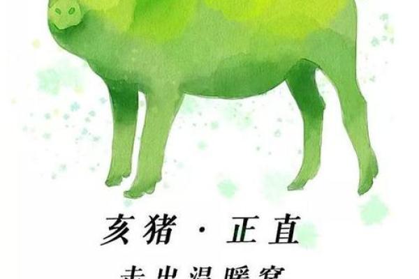 属猪男孩1995年命理解析:个性与事业运势的全面解读 属猪男孩1995年命理解析:个性与事业运势的全面解读