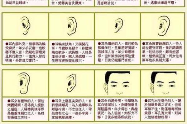 揭示金命之人的面相特征与运势解析,助你洞察命理之奥秘! 揭示金命之人的面相特征与运势解析,助你洞察命理之奥秘!