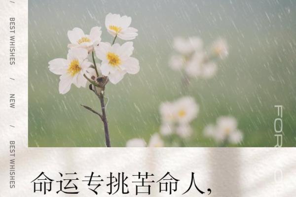 如何揭开命格的神秘面纱,解析人与命运的关系 如何揭开命格的神秘面纱,解析人与命运的关系