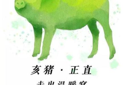 属猪男孩1995年命理解析：个性与事业运势的全面解读