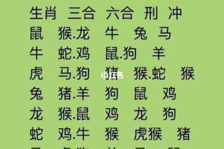 属鼠之人最佳搭档：生肖运势与命理探究