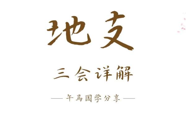 男命地支三会的深层意义与人生启示