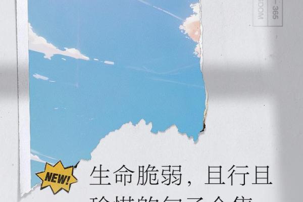 神仙难救无命客，生命的无常与珍惜之道