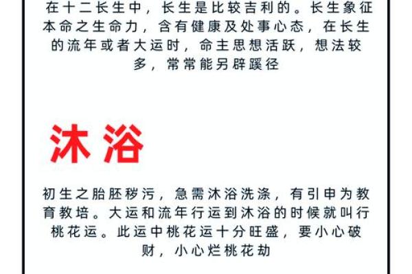 木兔之命:与颜色相伴,开启运势新篇章 木兔之命:与颜色相伴,开启运势新篇章