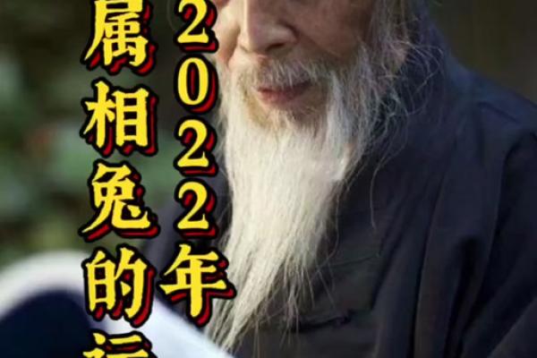 木兔之命:与颜色相伴,开启运势新篇章 木兔之命:与颜色相伴,开启运势新篇章